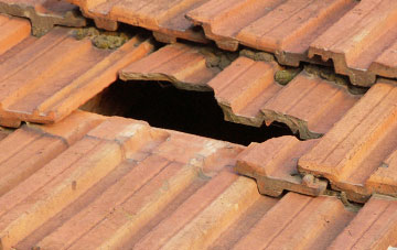 roof repair Romesdal, Highland