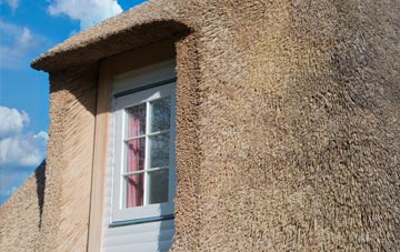 Romesdal thatch roof disadvantages
