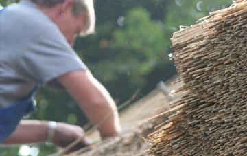 professional Romesdal thatchers