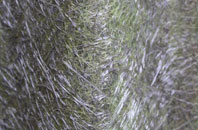 Romesdal fibreglass roof work